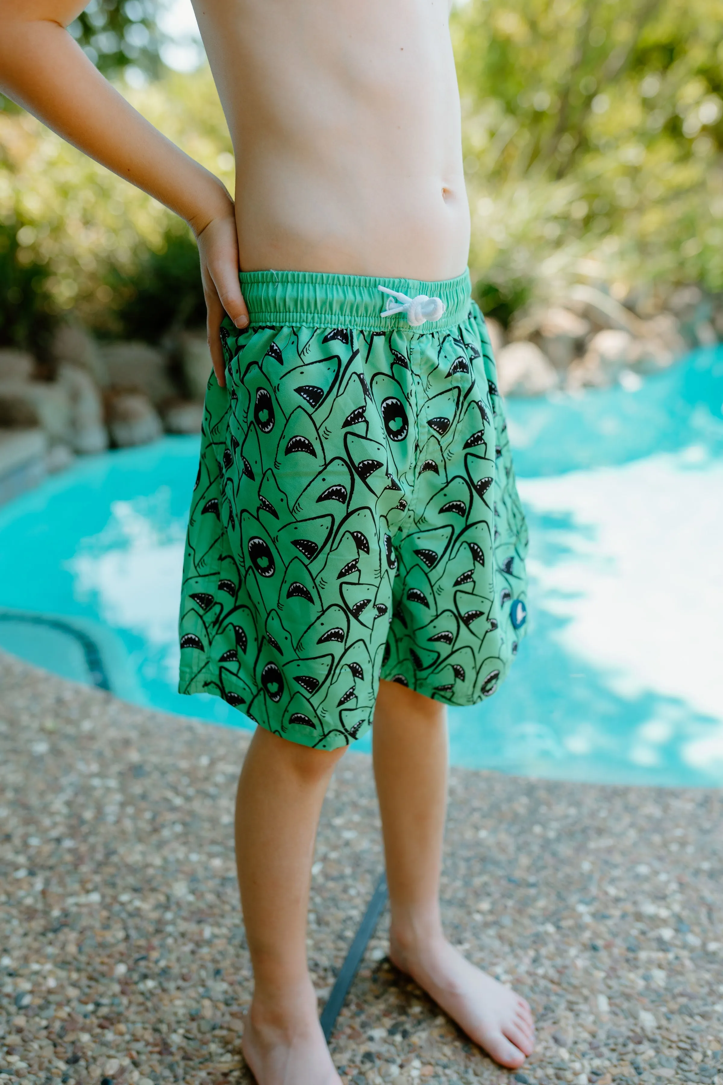 Boys Board Shorts