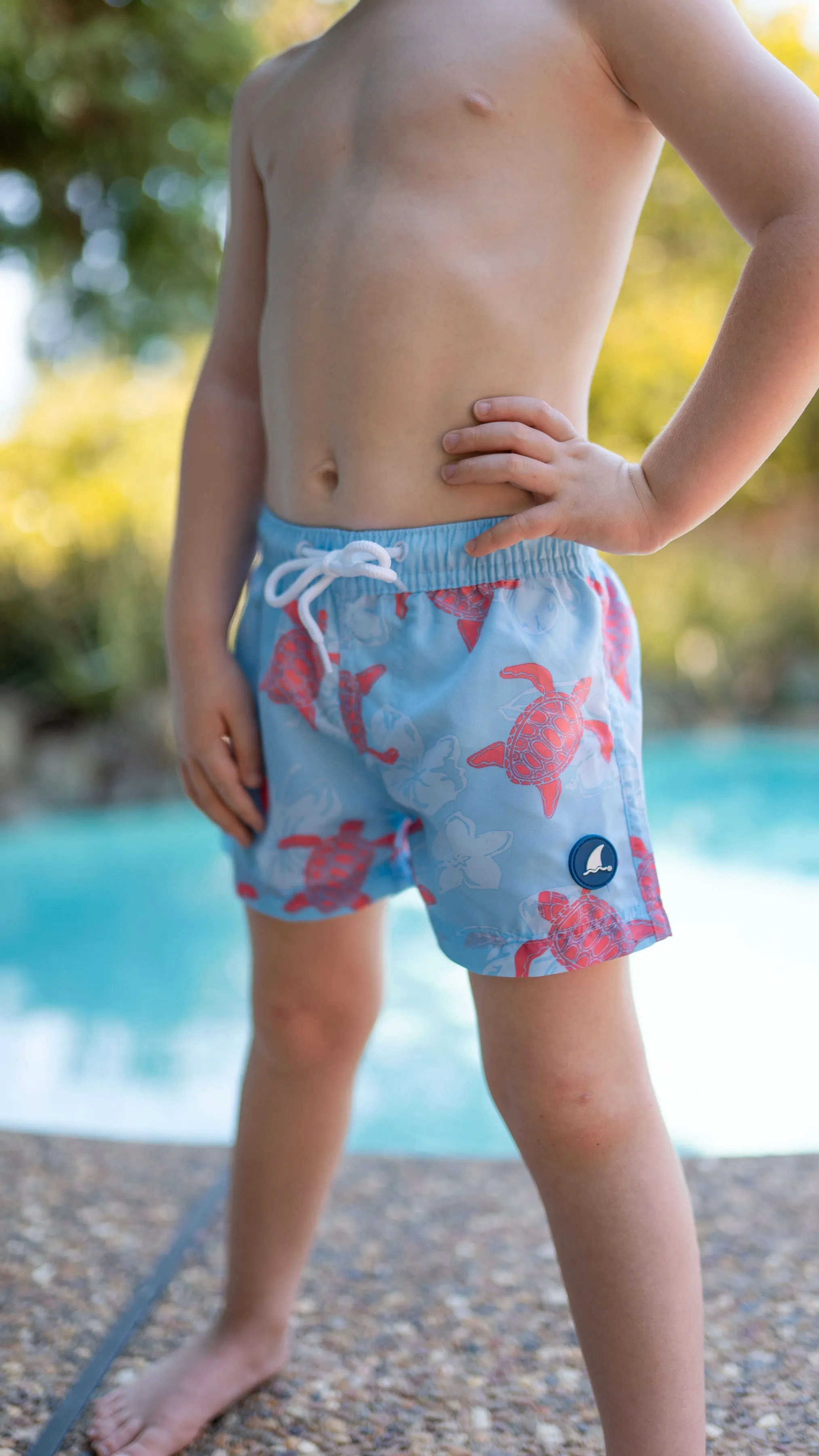 Boys Board Shorts